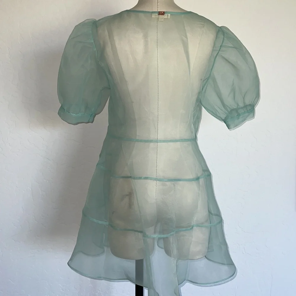 Very Rare!!!- For Love and Lemons Lucille Organza mint sheer nightie (L) - Picture 6 of 12